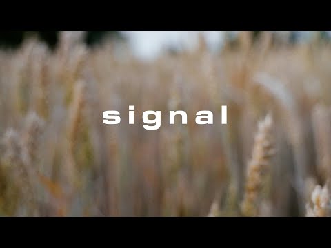 T-NO // SIGNAL (OFFICIAL VIDEO) shot by VISIONSOFJK prod. by T-NO