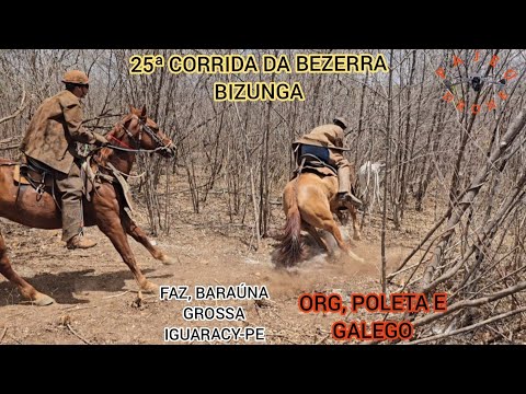 (DRONE) 25ª CORRIDA DA BEZERRA BIZUNGA FAZ, BARAÚNA GROSSA IGUARACY-PE ORG, POLETA E GALEGO 