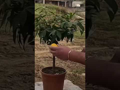 #constructionchannel #construction #heavycivil #woodworking #nuovacostruzione #diy #subscribe