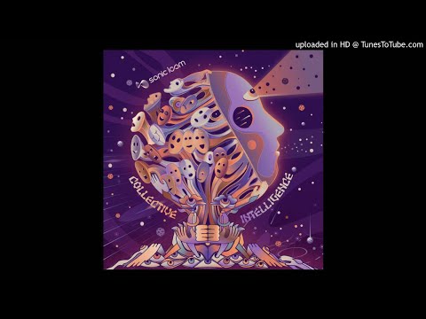 Algorithium & Ektomorph - Unplugged