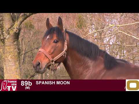 Osarus Obstacle 2018 : 89b - SpanishMoon