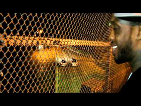 Maine Skrapp - So Much Pain