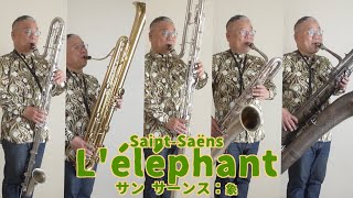Download lagu サン サーンス「象」Saint-Saëns L'éléphantコントラアルト／コントラバスクラリネット、コントラバスサリュッソフォン、バリトンサクソフォン、バスサクソフォン mp3