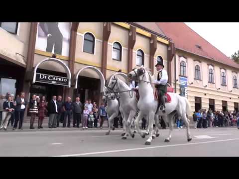 50. VINKOVAČKE JESENI