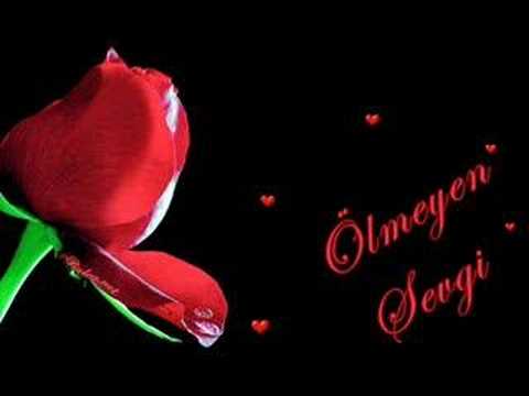 grup mecaz can yarim