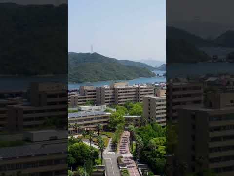 ちょっと上から、鳴教の風景をどうぞ。part1　#shorts