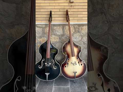 Ultra-Rare 1960 Wandré Naika Double Bass – Made in Italy – Black w/ Carved Lion Headstock & Aluminum Hardware with Hard Case image 20