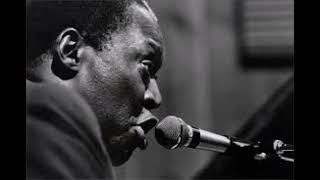Memphis Slim-Beer Drinking Woman