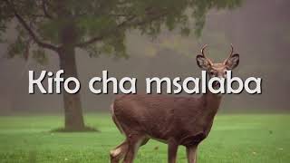 Download lagu Damu Ya Thamani Lyrics video by Victor K mp3