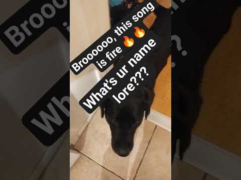 Check out this song!! #newmusic #rap  #norakari @NORA_KARI