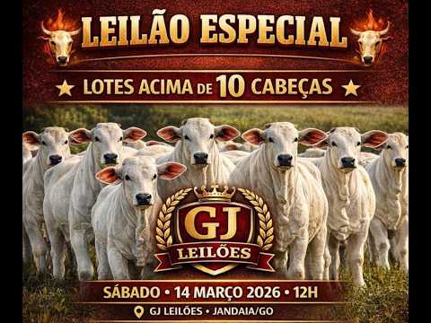 GJ LEILÕES - 14/03/2026-JANDAIA GOIAS #AGRO #AGRONEGOCIO #leilao #leilaodegado