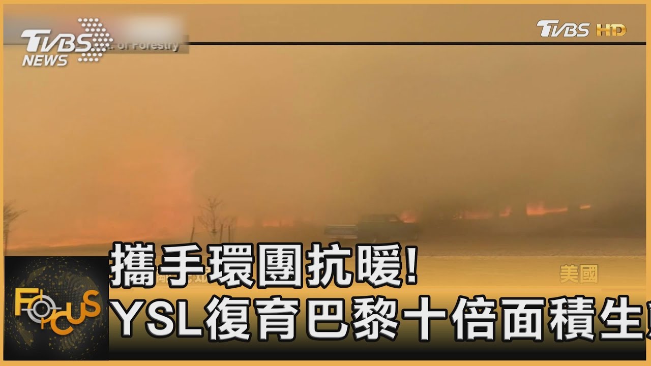 攜手環團抗暖!YSL復育巴黎十倍面積生態