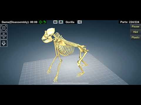 R.I.P Harambe.  ASMR,no talking.