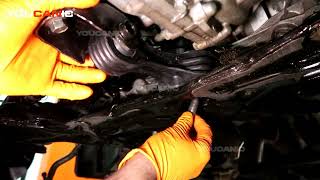 Honda Civic Engine Torque Strut Mount Guide (2017-2024) | Go-Parts.com