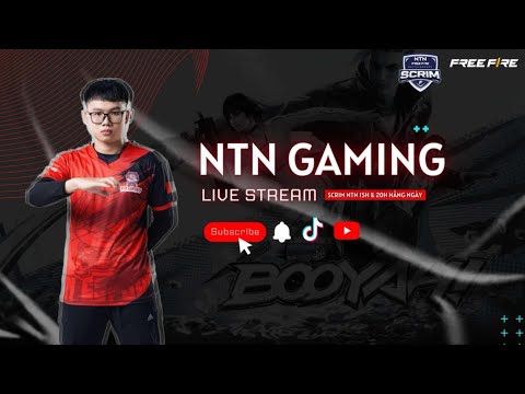 SCRIM NTN 15H TAY TO 9/2