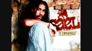 Sael - Maladive Attirance (Album Témoignage 2oo9) -=Promo Only Use=-
