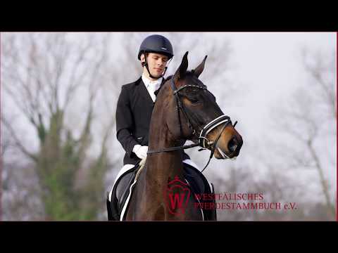 21 Danica Stute v. Don Frederic - Duino