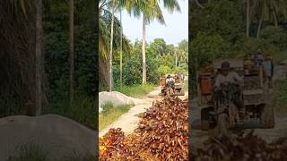 Download lagu no ribet,ya kaisar solusinya,mudah buat angkut apa saja..motor roda tiga pabrikan mp3