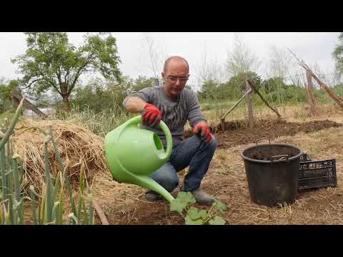 Tajna mog vrta ep. 70 03.06.2022. Tikvice, špargle, pilići