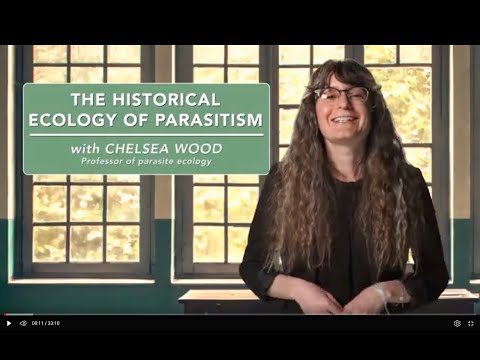 The historical ecology of parastism
