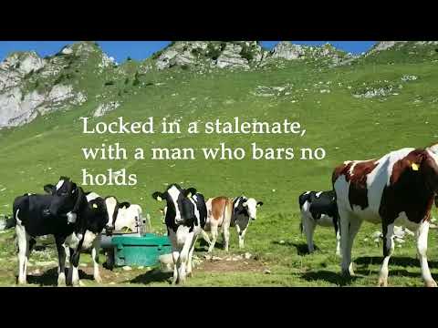 Evergreen (Official Lyric Video) | Richy Mitch & The Coal Miners