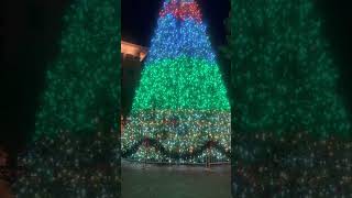 Let’s get into the  Christmas spirit! #christmas #christmastree #christmas2021 #holidayseason