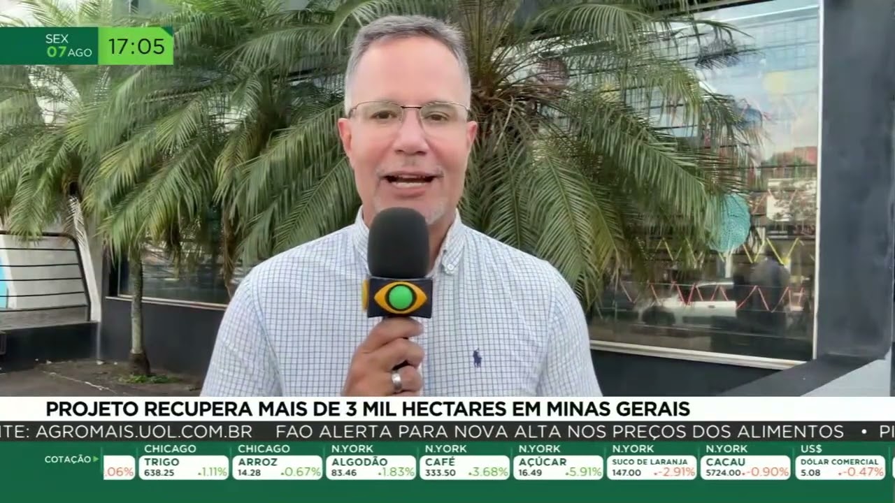 Projeto recupera mais de 3 mil hectares em Minas Gerais