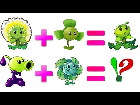 download lagu mp3 mp4 Dandelion Combo, download lagu Dandelion Combo gratis, unduh video klip Dandelion Combo