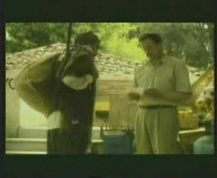 Servet Kocakaya  Keke