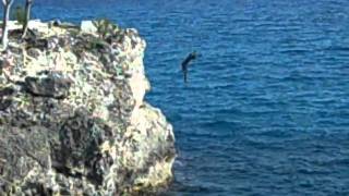 preview picture of video 'Cliff divers at Rick's Cafe Negril, Jamaica'