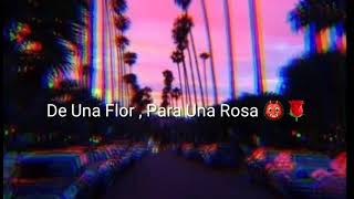 Descargar Nanpa Basico Casaca Mp3 Gratis Mimp3 2020 mimp3