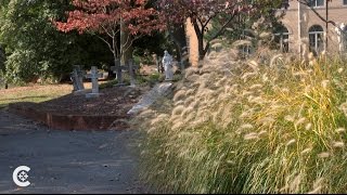 All souls conquering fear of death