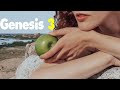 They Knew That They Were Naked Genesis 3