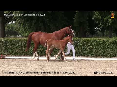 15 Zinedream   Balou du Rouet