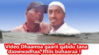 Download lagu Video nama buhaarsu kan dhaamsa gaarii qabu kanatti buhaaraa ! mp3