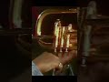 Clark Terry Plays Flugelhorn upside down  #shorts