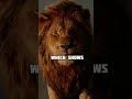 Attitude Motivation Lion Quote Shorts