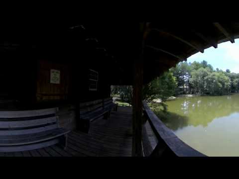 A 360 degree view from the porch of our mill pond