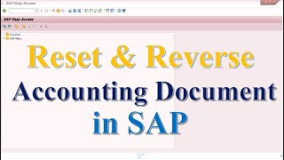 Reset & Reverse Accounting document in SAP