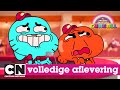 Gumball | Scholing (volledige aflevering in het Nederlands) | Cartoon Network