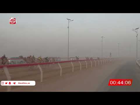ش 4 (شاهين) لـ احمد مبارك عنوده العامري 2:03 , شارة الصندوق 2026/06/20 فطامين الروضة 