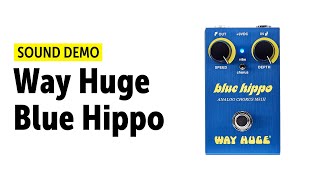 Video thumbnail for Way Huge Blue Hippo Sound Demo (No Talking) by Guitar Bonedo