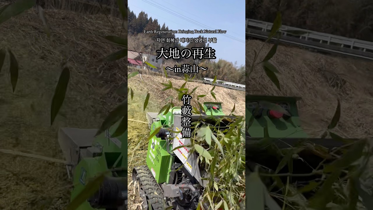 大地の再生竹藪整備、自然と共に生きる