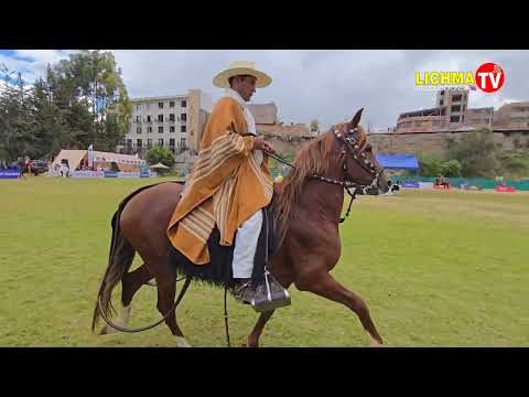 CUCURSO DE CABALLOS DE PASO REGIÓN JUNIN  CHUPACA - 2026 