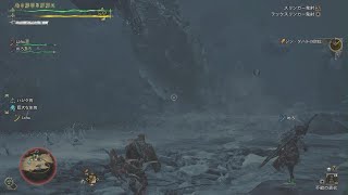 Monster Hunter Wildsダハドさんの一撃耐えられんの？？