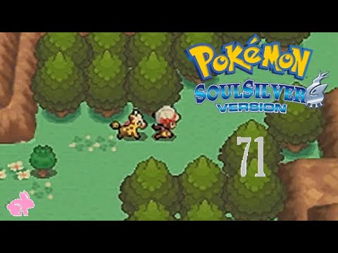 POKÉMON SOUL SILVER #71- Route 44