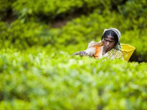 7 concorso fotografico 2017 forcoli