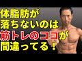 ここを修正すればもっと体脂肪は減らせる!体脂肪が落ちないのは筋トレのココを間違っている!5つのポイント!筋トレでもっと代謝を上げて消費を増やすには