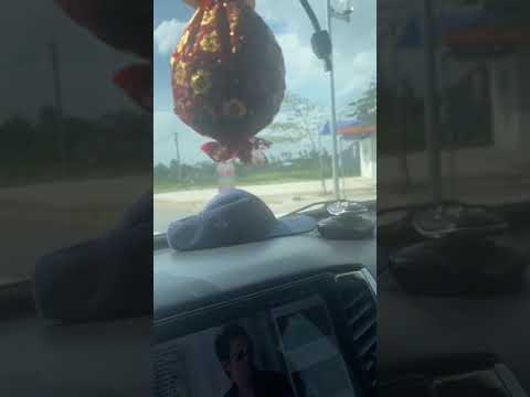 Cần Bán Đất Mặt Tiền Đường Nguyễn Trường Tộ – Thôn 5 – Xã Bắc Sơn –  An Dương