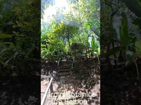 El turista moderno ya no busca simples viajes, busca conexiones genuinas con la naturaleza.